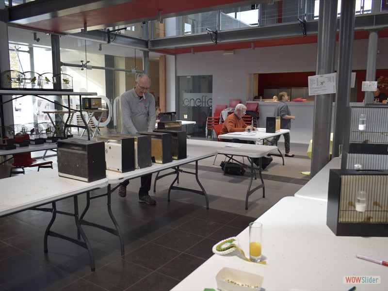 _DSC0785