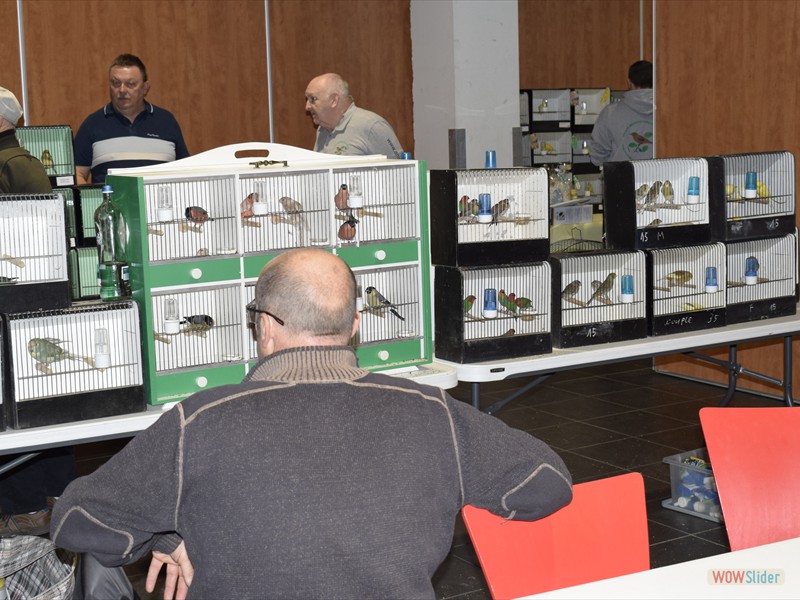 _DSC0966