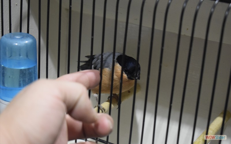 _DSC1504