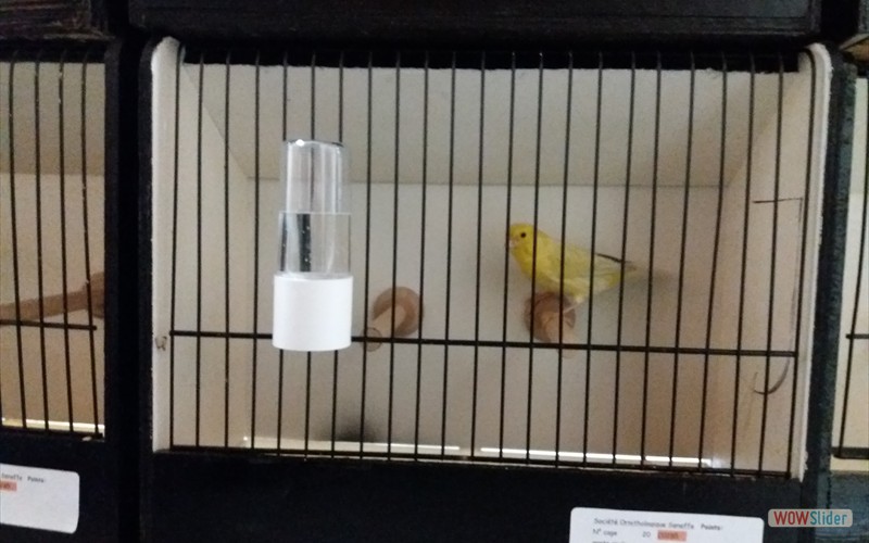20161110_220056